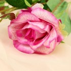Цветы искусственные "Роза душистая" 9х50 см, бело-сиреневый микс - фото 6253993