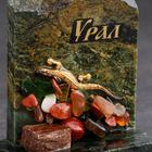 Сувенир-скол "Ящерица", с камнями, малый, микс - Фото 4