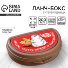 Бутербродница «Кот», 200 мл - Фото 1