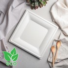 Тарелка одноразовая квадратная ECO, 26×26 см, сахарный тростник, цвет белый - Фото 4
