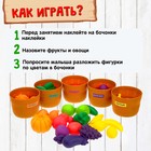 Набор для сортировки «Разноцветный урожай», по методике Монтессори - Фото 2