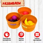 Набор для сортировки «Разноцветный урожай», по методике Монтессори - Фото 3