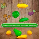 Набор для сортировки «Разноцветный урожай», по методике Монтессори - фото 3845972