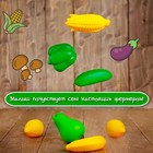Набор для сортировки «Разноцветный урожай», по методике Монтессори - Фото 10