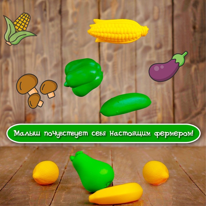 Набор для сортировки «Разноцветный урожай», по методике Монтессори - фото 1898254212