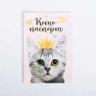 Обложка для паспорта "Котопаспорт" - Фото 4
