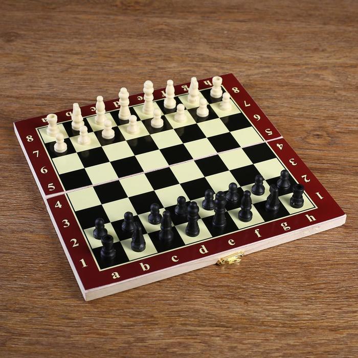 Шахматы "Тонт", 24 х 24 см - Фото 1