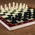 Шахматы "Тонт", 24 х 24 см - Фото 2