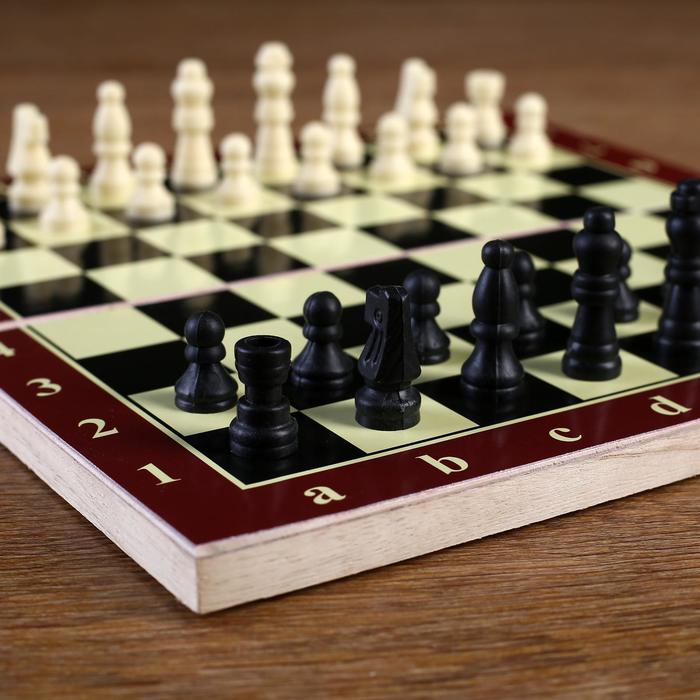 Шахматы "Тонт", 24 х 24 см - фото 1906769017