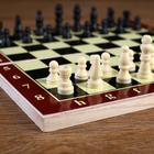 Шахматы "Тонт", 24 х 24 см - Фото 3