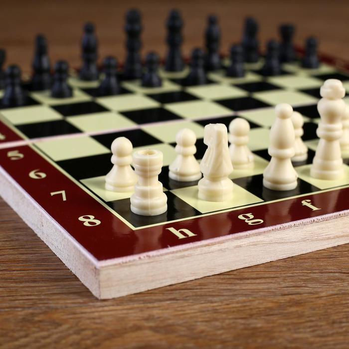 Шахматы "Тонт", 24 х 24 см - фото 1906769018