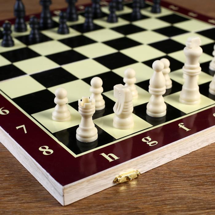 Шахматы "Классика", 39 х 39 см - фото 1886150607