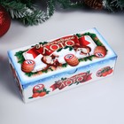 Русское лото, игра настольная «С Новым Годом», 24 карточки, 8×18 см - Фото 3