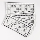 Русское лото, игра настольная «С Новым Годом», 24 карточки, 8×18 см - Фото 4