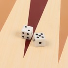 Нарды «Лабарт», деревянная доска 39×39 см, с полем для игры в шашки - Фото 5