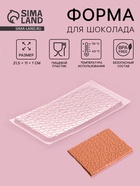 Форма для шоколада «Шоколад пористый», пластик, 21.5×11.5×1 см, прозрачная - Фото 1