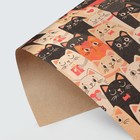 Бумага крафтовая «Котики», 50 × 70 см - Фото 1