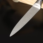 Нож кухонный Доляна Venus, лезвие 12,5 см, цвет чёрный - фото 4291246