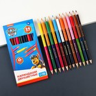 Цветные карандаши, 24 цвета, двусторонние, Щенячий патруль - Фото 5