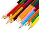 Цветные карандаши, 24 цвета, двусторонние, Щенячий патруль - Фото 4