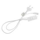 Сетевой шнур Ecola LED linear, для светильника T5 с вилкой и общим выключателем, 1 м - Фото 1