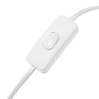 Сетевой шнур Ecola LED linear, для светильника T5 с вилкой и общим выключателем, 1 м - Фото 2