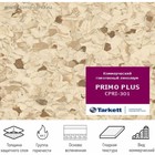 Линолеум коммерческий гомогенный Tarkett Primo Plus 93301, ширина 2 м, толщина 2 мм, 23 пог. м - Фото 2