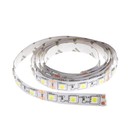 Светодиодная лента Ecola 1 м, IP20, SMD5050, 60 LED/м, 14.4 Вт/м, 12 В, 6000К - Фото 3