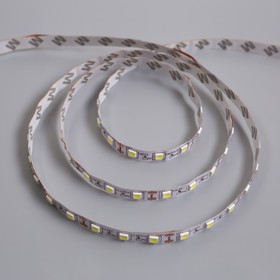 

Светодиодная лента Ecola 3 м, IP20, SMD5050, 60 LED/м, 14.4 Вт/м, 12 В, 6000К