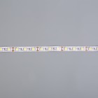 Светодиодная лента Ecola 3 м, IP20, SMD5050, 60 LED/м, 14.4 Вт/м, 12 В, 6000К - Фото 4
