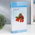 Фотоальбом на 300 фото 10×15 см «Розы», МИКС - Фото 4