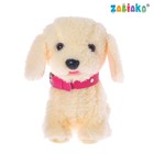 УЦЕНКА Интерактивная игрушка «Любимый друг: Щенок Соня», выполняет команды, реагирует на касания, лает, скулит, ходит - Фото 2