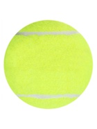 Набор мячей для большого тенниса SWIDON 969 тренировочный, 3 шт. - Фото 3