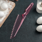 Нож-лопатка «Сапфир», 30 см, прозрачная, цвет МИКС - Фото 2