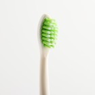 Детская зубная щетка на присоске (нейлон), цвет МИКС - Фото 5