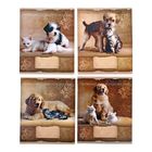 Тетрадь 12 листов клетка "Притяжение противоположностей", картонная обложка, МИКС - Фото 1