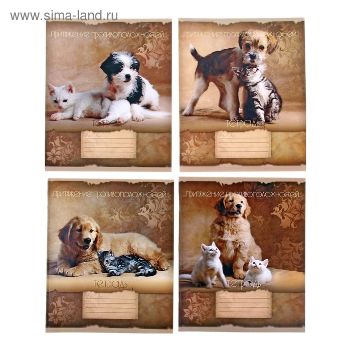 Тетрадь 12 листов клетка "Притяжение противоположностей", картонная обложка, МИКС - Фото 1