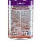 Освежитель воздуха Armeto «Шоколад и мята», со сменным баллоном, 250 мл - Фото 2