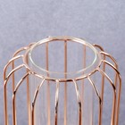 Ваза - флорариум «Ангстрем», колба в подставке, 9×20 см, стекло, прозрачная, золотистая - Фото 2