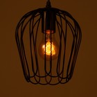 Светильник BayerLux «Цветок» 1×40 Вт E27 черный 20×20×120 см - Фото 4