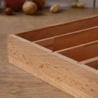 Ящик для столовых приборов, 26×35×5 cм, 4683157