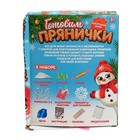 Уценка Набор для кулинарии «Готовим прянички» - Фото 6