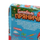 Уценка Набор для кулинарии «Готовим прянички» - Фото 7