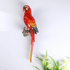 Фигурка панно «Попугай Ара», полистоун лак, настенный декор, 34.5×8×9.5 см 4563435