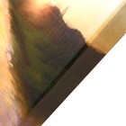 Картина-холст на подрамнике "Утро на пруду" 60х100 см - фото 9561174