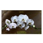 Картина-холст на подрамнике "Белые орихидеи" 60х100 см - фото 8908566