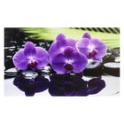 Картина-холст на подрамнике "Орхидеи" 60х100 см - фото 9561177