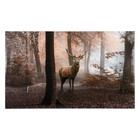 Картина-холст на подрамнике "Лесной царь" 60х100 см - фото 318261653