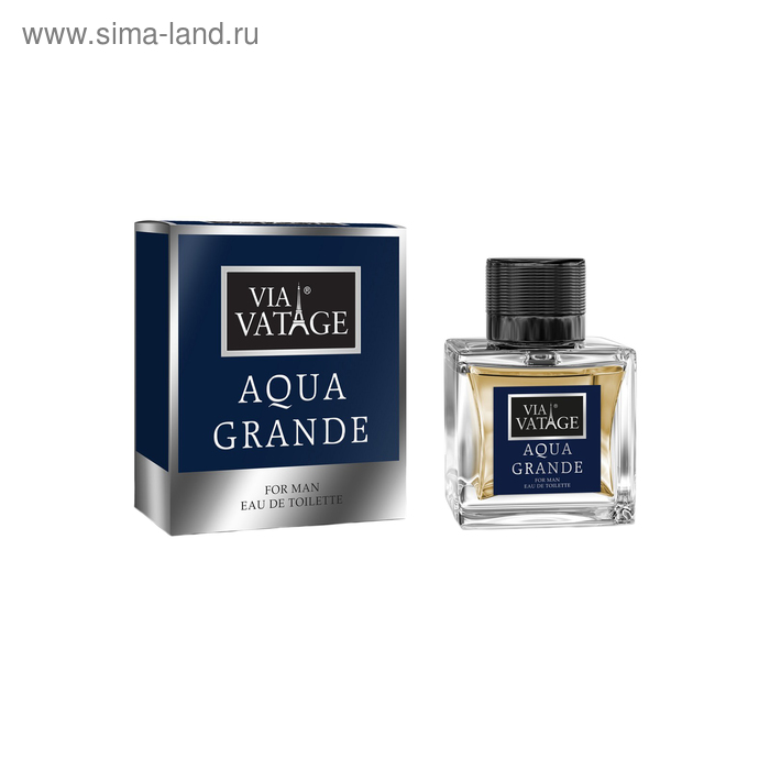 Туалетная вода мужская Via Vatage Aqua Grande, 100 мл - Фото 1