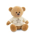 Мягкая игрушка «Медведь Топтыжкин» звезда, цвет коричневый 25 см - фото 25276117
